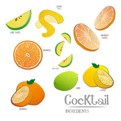 Acid fruits ingredients vector illustration