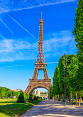 Fototapeta na wymiar Paris Eiffel Tower and Champ de Mars in Paris, France. Eiffel Tower is one of the most iconic landmarks in Paris. The Champ de Mars is a large public park in Paris