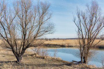 The awakening of Nature after Winter hibernation. 