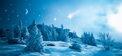 Sternenhimmel über Winterwald