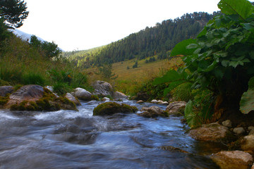 Naklejka na ściany i meble Photo of nature - spring water mountain river and the wonderful petrous creek on North Caucasus