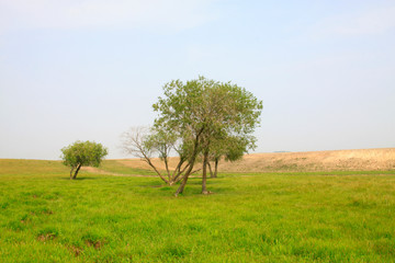 beautiful natural scenery in the WuLanBuTong grassland, China