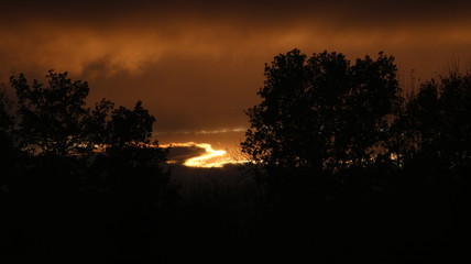 Coucher de soleil sur un arbre