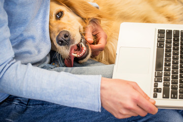 Woman cuddles her dog while preparing to work on laptop