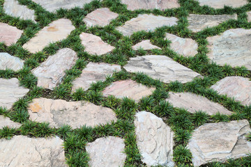 Closeup of rock floor with grass in sunny day. 