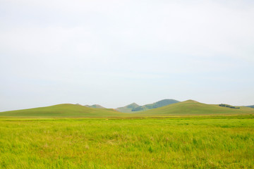 Fototapeta premium beautiful natural scenery in the WuLanBuTong grassland, China