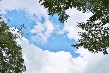 空　葉　とちぎ