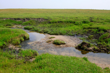 Fototapeta na wymiar small river in the WuLanBuTong grassland, China