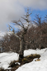 Bariloche - Argentina
