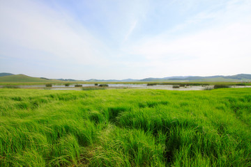 Obraz premium beautiful natural scenery in the WuLanBuTong grassland, China