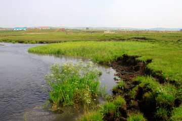 Tuligen River scenery in the grassland, Xilin gol league, China