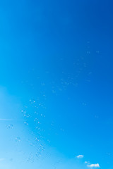 Floating in Freedom / Flying soap bubbles at blue sky background (copy space)