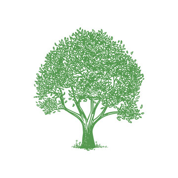 Green Tree Vector Logo Template