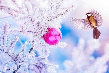 new year card with beautiful bird tit flies to the Christmas tree with a brilliant ball in the winter park