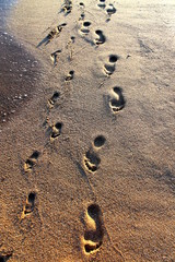Footprints in the sand