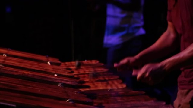 Music artist plays wooden xylophone during music set