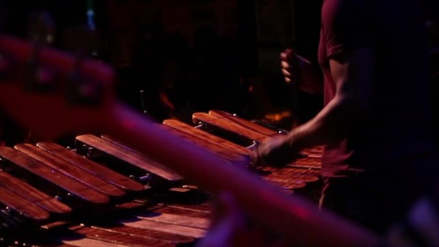 Musician plays wooden xylophone in front of energetic crowd during live music gig
