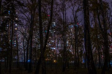 View of multi-storey houses from the thicket of the forest at night