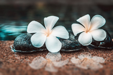 Obraz na płótnie Canvas Spa concept with frangipani flowers on rocks
