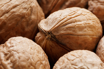 Natural Walnuts in shell background dramatic contrast