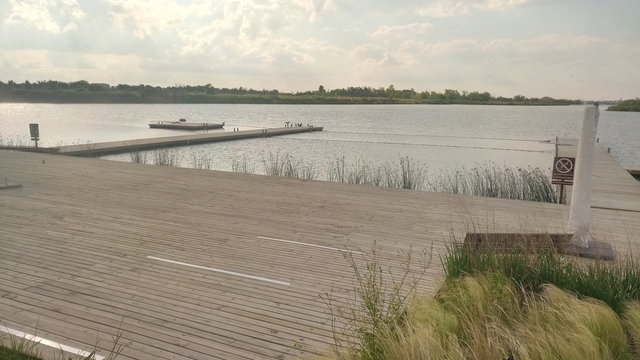 Muelle