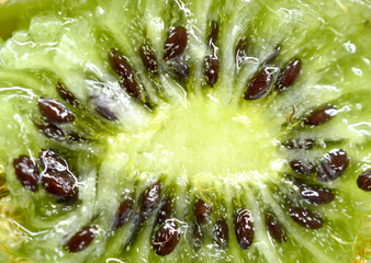 macro shot of a kiwi fruit