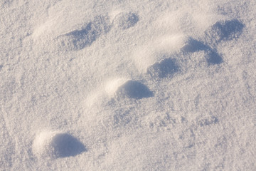 snow texture background with copy space. white snowflakes background, rough pattern of snow texture.