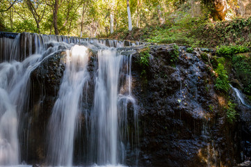 Waterfall in the summer forest