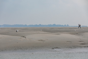 Dune de la baie de somme 2