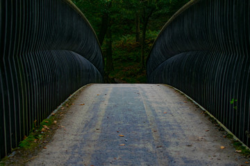 Mysterious Bridge in the Woods