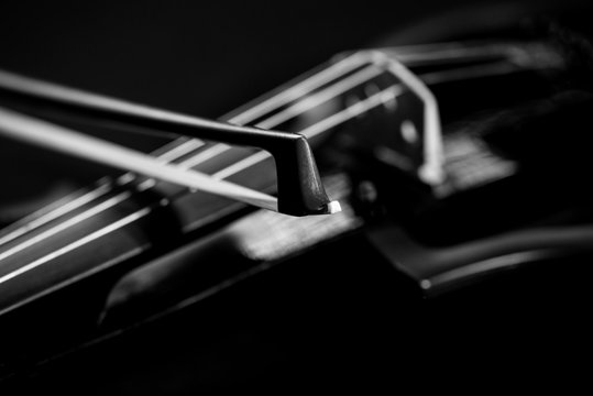  neck violin close up on a black background