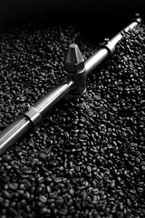 coffee beans after cooling down on the coffee roaster machine in black & white style.