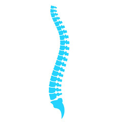 Spine cord vector icon - obrazy, fototapety, plakaty