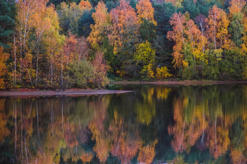 Lake and tree scenery in autumn with reflections on calm surface. Trees in yellow and orange leafs.