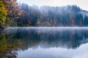 Nebel am Freibergsee, Allgäuer Alpen, Kreis Oberallgäu, Bayern, Deutschland