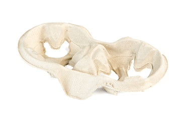 Cardboard takeaway coffee cup holder cut out on white background.