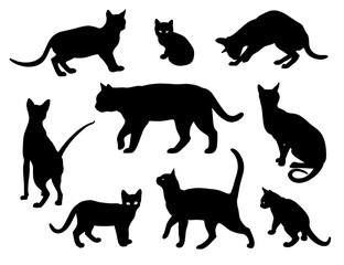 Cat vector silhouette set Isolated On White Background, cats in different poses