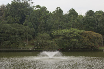 fountain in the park