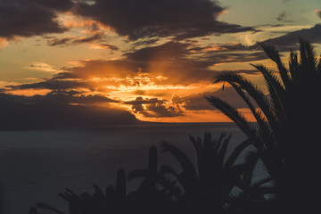 Sunset with ocean and palms
