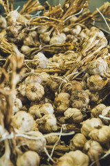 Garlic from Tenerife