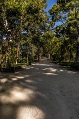 Obraz premium The Buen Retiro Park (Spanish: Parque del Buen Retiro is one of the largest parks of the city of Madrid, Spain