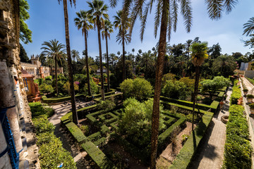 Fototapeta na wymiar The vast gardens of the Royal Alcazar (Reales Alcázares de Sevilla) of Seville (Sevilla). 
