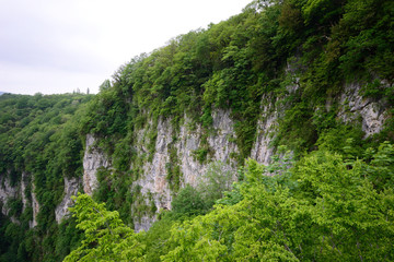 Fototapeta na wymiar amazing green vertical rock wall of Martvili Canyon
