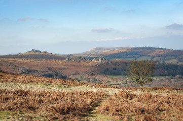 Dartmoor 4