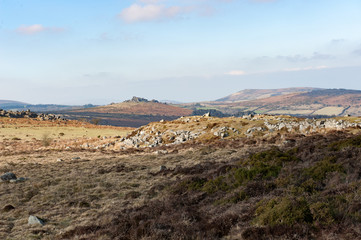 Fototapeta na wymiar Dartmoor 3