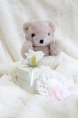 Teddy bear with love and gift