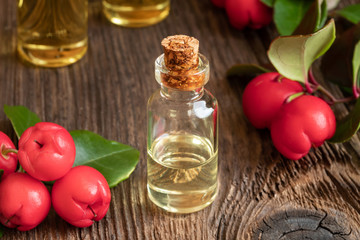 A bottle of wintergreen essential oil with fresh wintergreen plant
