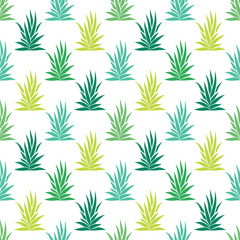 Fototapeta na wymiar Seamless pattern with tropical, succulent plants, bushes. Floral ornament on a white background. Vector illustration.