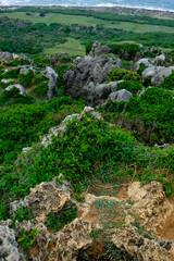 Fototapeta na wymiar Rough Coast of Kaiting National Park in Taiwan