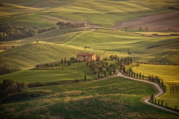 Fototapeta premium Landscape in the hills of Val d'Orcia, Tuscany, Italy